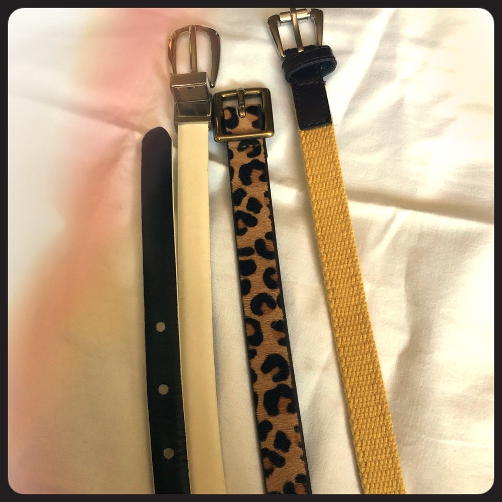 3 Skinny Belts